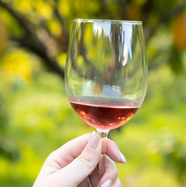 Scout and Cellar Wine Tasting Gateway Pacific Wellness Academy